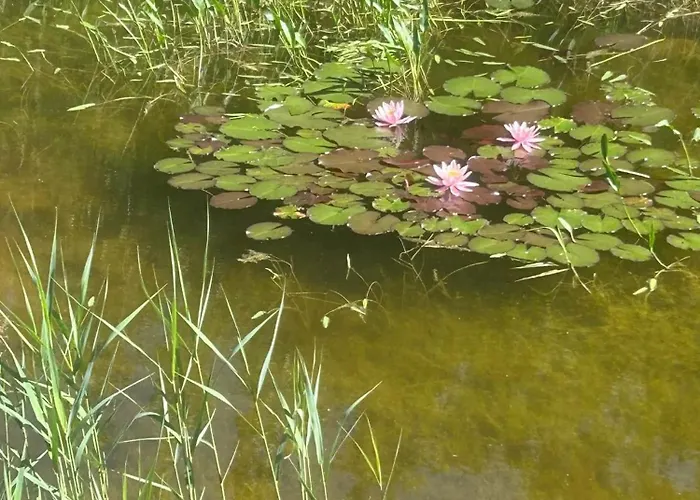 Nova Kuelalistemaja Saunaga Holiday home Vaisi